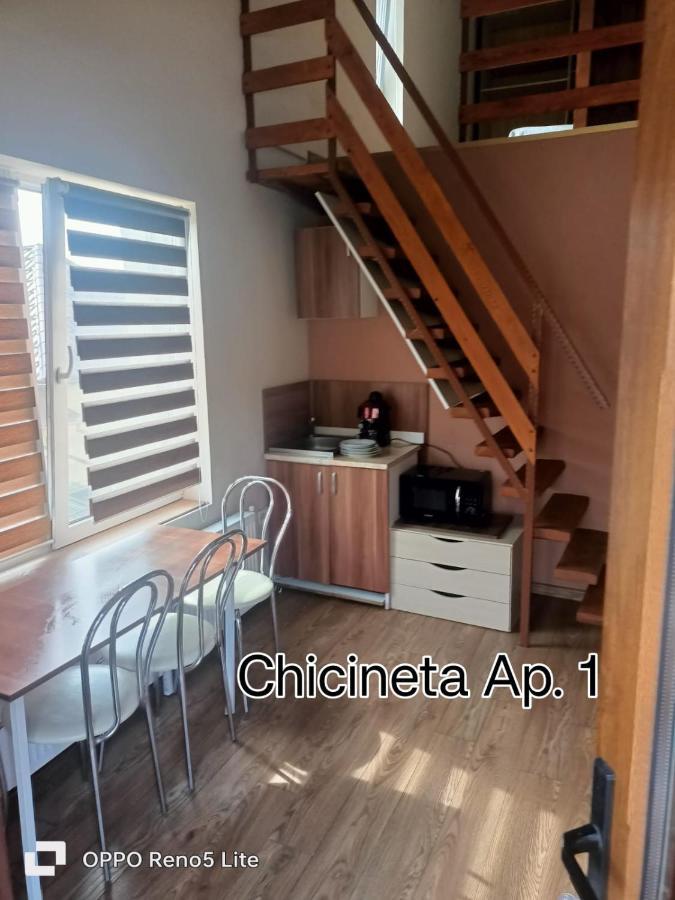 Casa Lucaciu Villa Клуж-Напока Екстериор снимка
